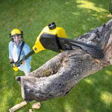 Best Tree Removal  in North Warren, PA